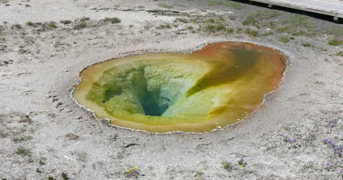 NATIONAL PARKS FREE ENTRY DAYS 2026 visual data 2